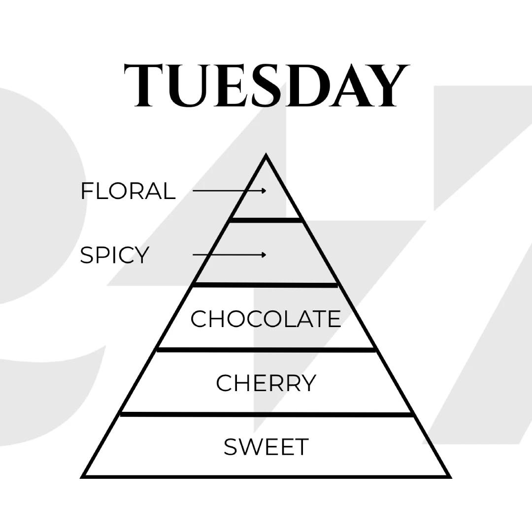 TUESDAY - Image 3